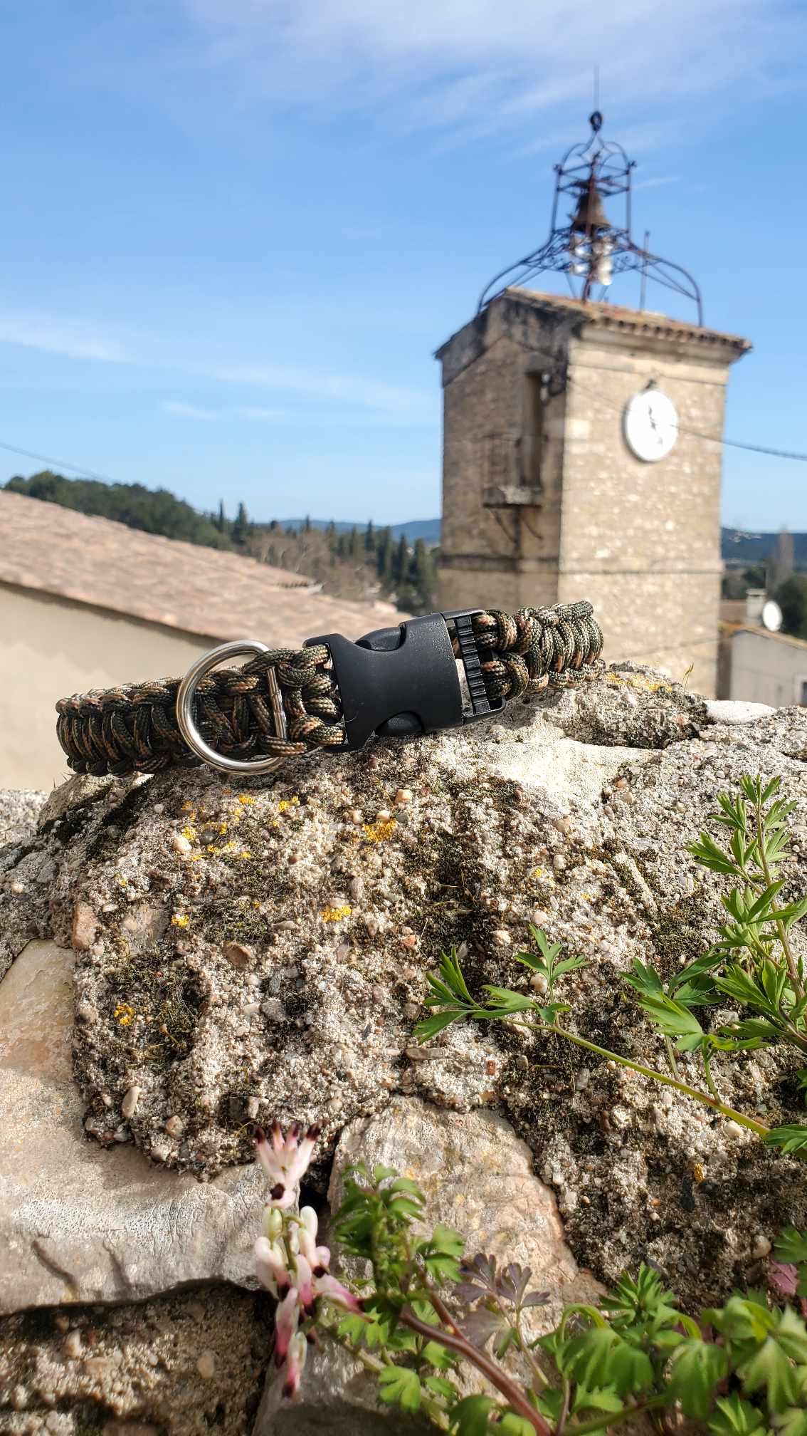 Collier pour chien en paracorde sur mesure