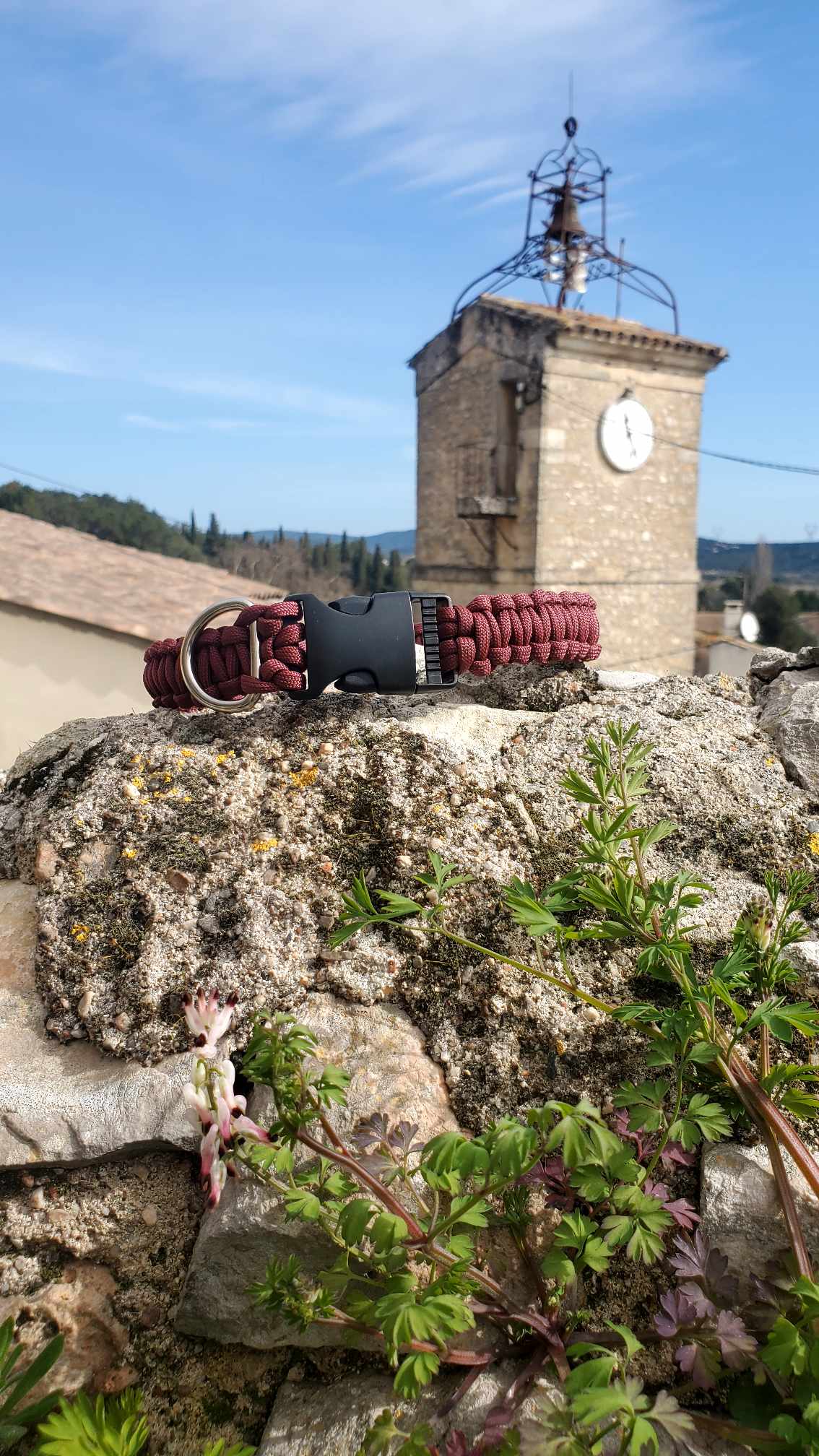 Collier pour chien en paracorde sur mesure