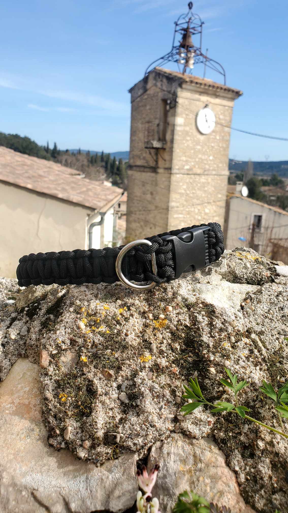 Collier pour chien en paracorde sur mesure