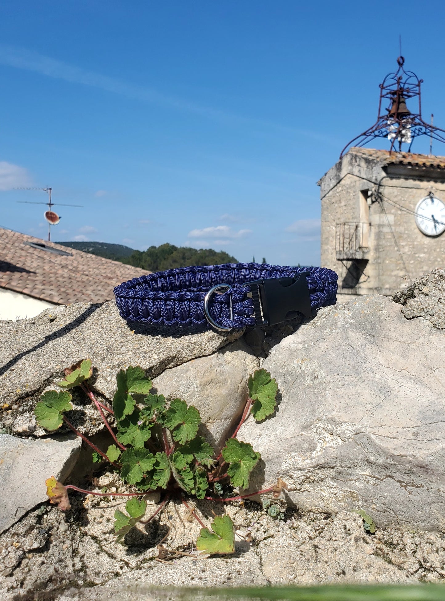 Collier pour chien en paracorde sur mesure